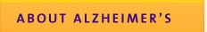 About Alzheimer's Disease