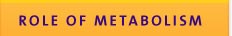 Role of Metabolism in Alzheimer's Disease